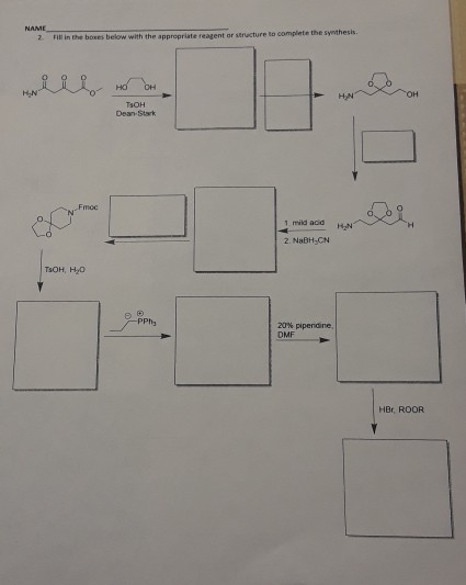 NAME 2. Fill in the boxes below with the appro TOH Dean Stark 1 mild add HN 2. NaBH.CN тон, но 20% pipendine HBE, ROOR