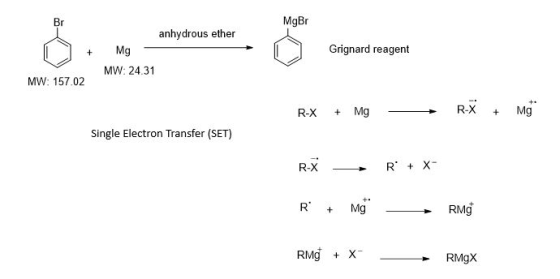 MgBr + anhydrous ether Mg MW: 24.31 Grignard reagent MW: 157.02 R-X + Mg - R-X + Mga Single Electron Transfer (SET) R-X - R +