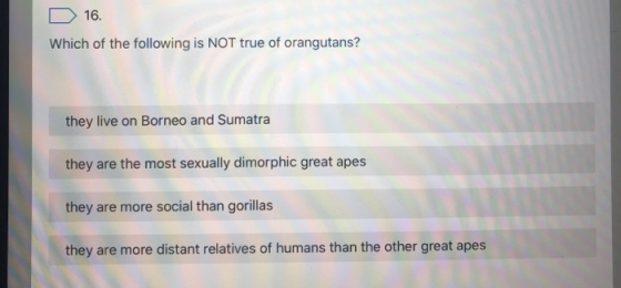 D 16. Which of the following is NOT true of orangutans? they live on Borneo and Sumatra they are the most sexually dimorphic