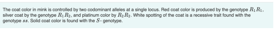 The coat color in mink is controlled by two codominant alleles at a single locus. Red coat color is produced by the genotype