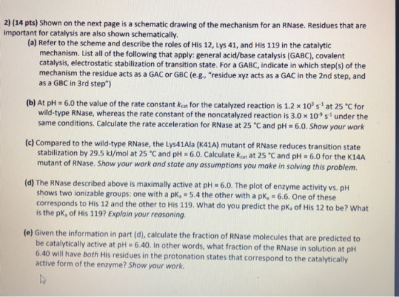 2) (14 pts) Shown on the next page is a schematic drawing of the mechanism for an RNase. Residues that are important for cata