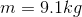 m = 9.1kg
