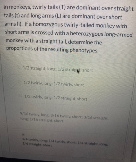 In monkeys, twirly tails (T) are dominant over straight tails (t) and long arms (L) are dominant over short arms (1). If a ho