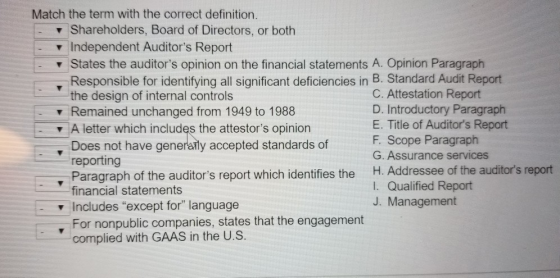 Dllal Match the term with the correct definition. Shareholders, Board of Directors, or both Independent Auditors Report Stat