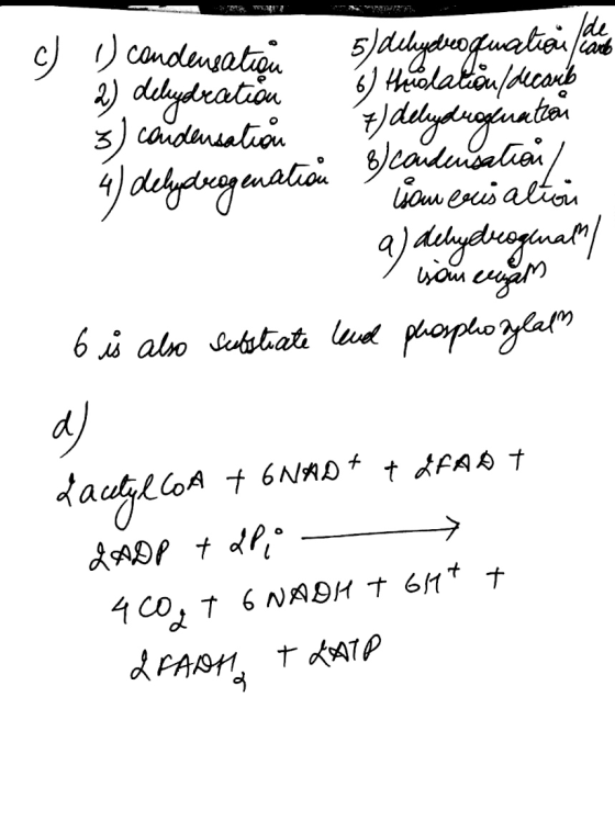 c) O condensation 5) debydeo qualiai le to 2) debydration 6 Hüblation/decoub Ś) condensation delyduouation 4) delydrogmatian
