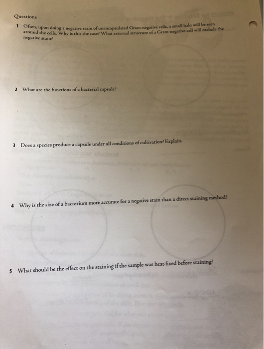Questions 1 Often, upon doing a negative pom doing a negative stain of unencapsulated Gram-negative cells, a small halo will