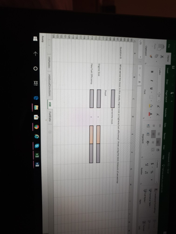 Insert Draw Page Layout Font し73 Engine Size 119 124 HWNotes HWExcelDirections HW FuelData 8