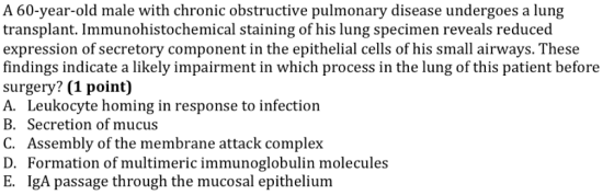 A 60-year-old male with chronic obstructive pulmonary disease undergoes a lung transplant. Immunohistochemical staining of his lung specimen reveals reduced expression of secretory component in the epithelial cells of his small airways. These findings indicate a likely impairment in which process in the lung of this patient before surgery? (1 point) A. Leukocyte homing in response to infection B. Secretion of mucus C. Assembly of the membrane attack complex D. Formation of multimeric immunoglobulin molecules E. IgA passage through the mucosal epithelium