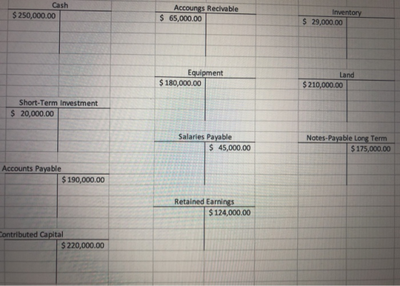 Cash $ 250,000.00 Accoungs Recivable $ 65,000.00 Inventory $ 29,000.00 Equipment $ 180,000.00 Land $ 210,000.00 Short-Term In