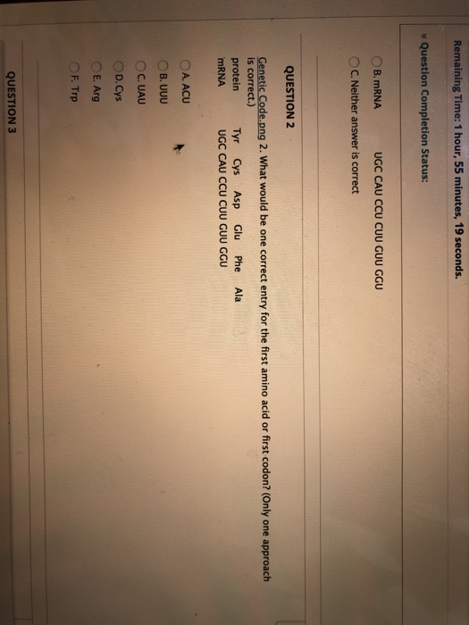 Remaining Time: 1 hour, 55 minutes, 19 seconds. Question Completion Status: B.mRNA UGC CAU CCU CUU CUU NGU C. Neither answer