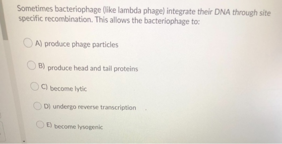 Sometimes bacteriophage (like lambda phage) integrate their DNA through site specific recombination. This allows the bacterio