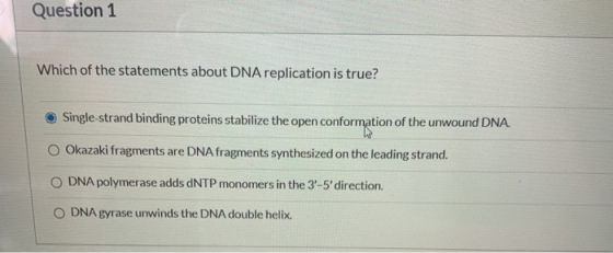 Question 1 Which of the statements about DNA replication is true? Single-strand binding proteins stabilize the open conformat