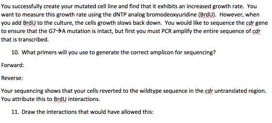 You successfully create your mutated cell line and find that it exhibits an increased growth rate. You want to measure this g