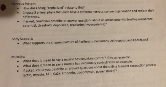 Nervous System: How does being cephalized relate to this? Choose 3 animal phyla that each have a different nervous system o