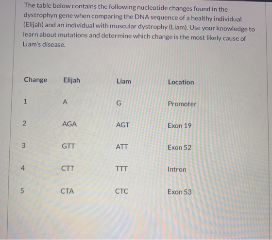 The table below contains the following nucleotide changes found in the dystrophyn gene when comparing the DNA sequence of a h
