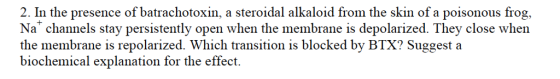 2. In the presence of batrachotoxin, a steroidal alkaloid from the skin of a poisonous frog Na channels stay persistently open when the membrane is depolarized. They close when the membrane is repolarized. Which transition is blocked by BTX? Suggest a biochemical explanation for the effect.