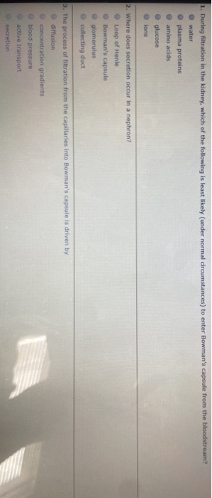1. During filtration in the kidney, which of the following is least likely (under normal circumstances) to enter Bowmans cap