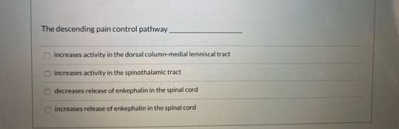 The descending pain control pathway increases activity in the dorsal column-medial lemniscal tract increases activity in the