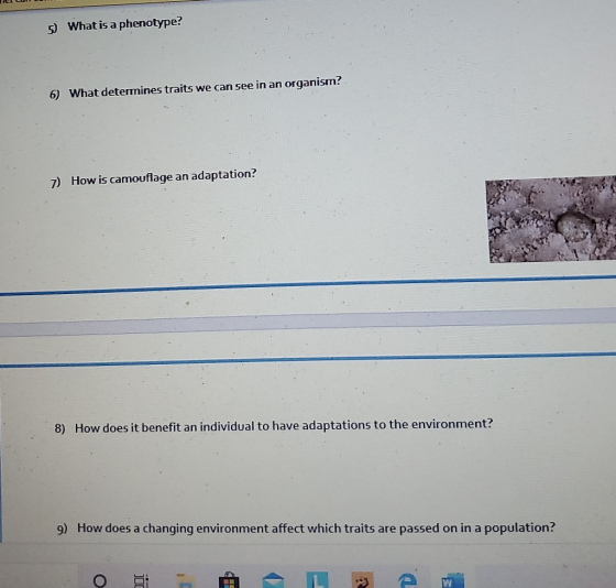 CLCU 5) What is a phenotype? 6) What determines traits we can see in an organism? 7) How is camouflage an adaptation? 8) How