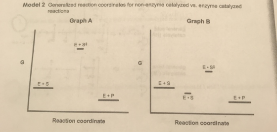 Model 2 Generalized reaction coordinates for non-enzyme catalyzed vs. enzyme catalyzed reactions Graph A Graph B E.st E + S E