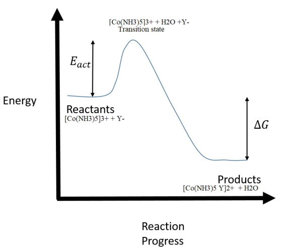 Co(NH3)513++ H20 +Y- Transition state Eact Energy Reactants [Co(NH3)513+ Y- AG Products [Co(NH3)5 Y]2+ +H2O Reaction Progress