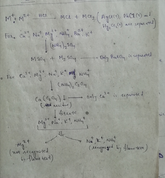 Mt Mt Hee Mer & MC (Agce(s), PbCl (s) and Hg, C, (o) are separated) For Cat Nat M + Whey, Batik (NH4)₂SO4 I msoq et M₂ 504 -
