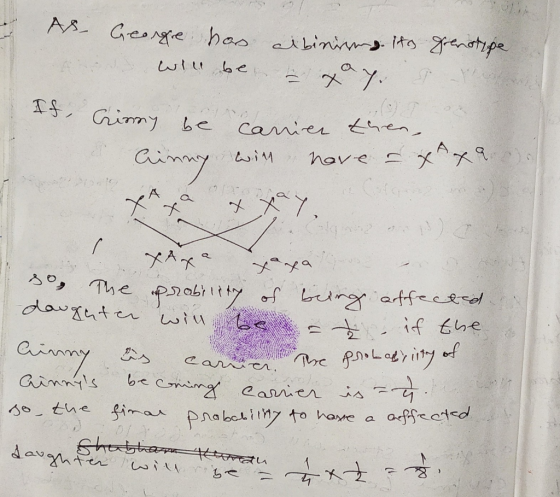 - As George has will be albinirong ito genotype in to. I - Cinay be carrier then, Cinny will have a faxa. so. The prability o