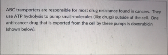 ABC transporters are responsible for most drug resistance found in cancers. They use ATP hydrolysis to pump smallmolecules like drugsoutside of the cellOne anti-cancer drug that is exported from the cell by these pumps is doxorubicin (shown below).