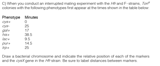 C) When you conduct an interrupted mating experiment with the Hfr and F-strains, Ton colonies with the following phenotypes f
