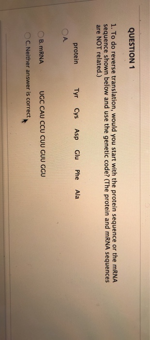 QUESTION 1 1. To do reverse translation, would you start with the protein sequence or the mRNA sequence shown below and use t