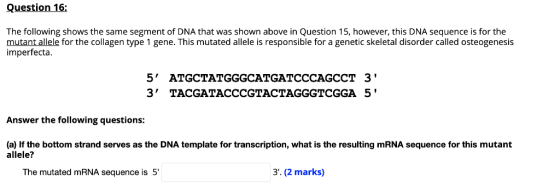 Question 16: The following shows the same segment of DNA that was shown above in Question 15, however, this DNA sequence is f