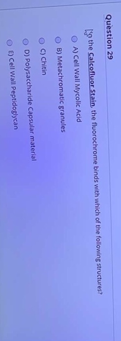 Question 29 the Calcofluor Stain, the fluorochrome binds with which of the following structures? O A) Cell Wall Mycolic Acid