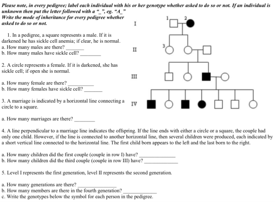 Please note, in every pedigree; label each individual with his or her genotype whether asked to do so or not. Ifan individual is unknown then put the letter followed with a , eg. A Write the mode of inheritance for every pedigree whether asked to do so or not. 1. In a pedigree, a square represents a male. If it is darkened he has sickle cell anemia; if clear, he is normal a. How many males are there? b. How many males have sickle cell? 3 2. A circle represents a female. If it is darkened, she has sickle cell; iI open she is normal a. How many female are there? b. How many females have sickle cell? 3. A marriage is indicated by a horizontal line connecting a circle to a square IV a. How many marriages are there? 4. A line perpendicular to a marriage line indicates the offspring. If the line ends with either a circle or a square, the couple had only one child. However, if the line is connected to another horizontal line, then several children were produced, each indicated by a short vertical line connected to the horizontal line. The first child born appears to the left and the last born to the right a. How many children did the first couple (couple in row I) have? b. How many children did the third couple (couple in row III) have? 5. Level I represents the first generation, level II represents the second generation. a. How many generations are there? b. How many members are there in the fourth generation? c. Write the genotypes below the symbol for each person in the pedigree