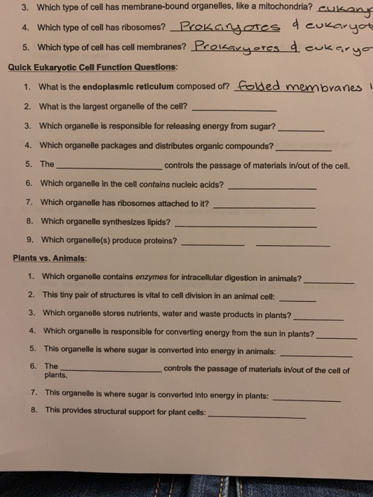 3. Which type of cell has membrane-bound organelles, like a mitochondria? Cukan 4. Which type of cell has ribosomes? Prokaryo