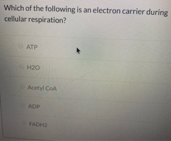 Which of the following is an electron carrier during cellular respiration? H20 Acetyl CoA ADP FADH2