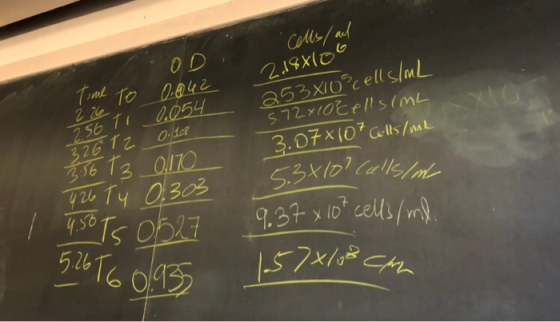 Cells/ and OD (2ml Те 0.04 г. 219xce a53 xiocell g/uL 220 (054 0.1102 256 1 T2 5.72x10cellsimL 3.07x (0° &lis /м2 326 56 Т3