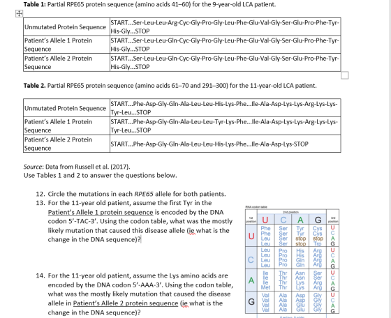Table 1: Partial RPE65 protein sequence (amino acids 41-60) for the 9-year-old LCA patient. Unmutated Protein Sequence Patien