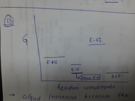 E.st Ets E.S New ES EXP. coordinate because → Reaction increases Gact the