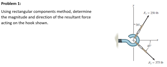 Problem 1: Using rectangular components method, determine the magnitude and direction of the resultant force acting on the ho