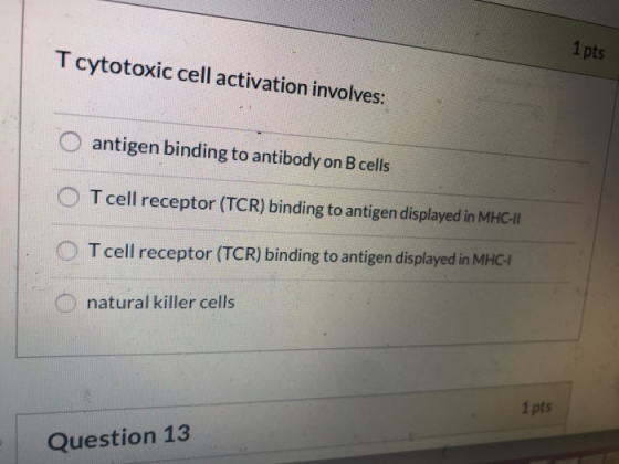 1 pts T cytotoxic cell activation involves: O antigen binding to antibody on B cells O T cell receptor (TCR) binding to antig