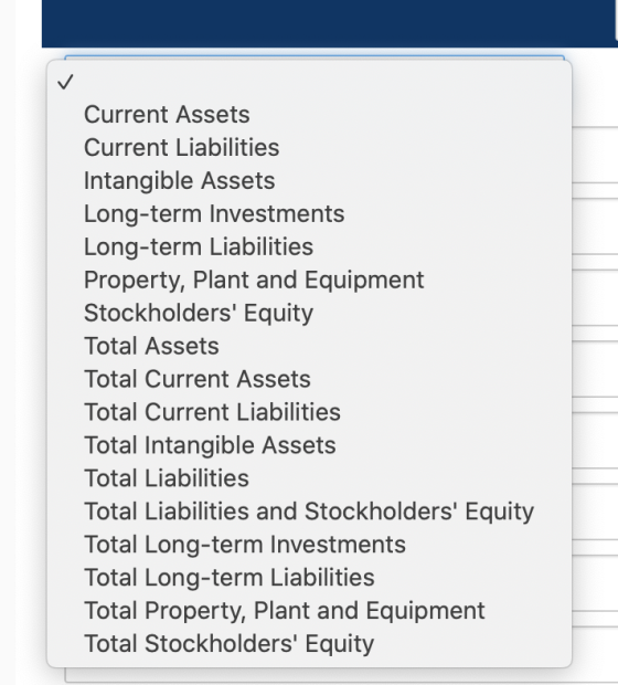 Current Assets Current Liabilities Intangible Assets Long-term Investments Long-term Liabilities Property, Plant and Equipmen