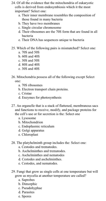 24. Of all the evidence that the mitochondria of eukaryotic cells is derived from endosymbiosis which it the most important?