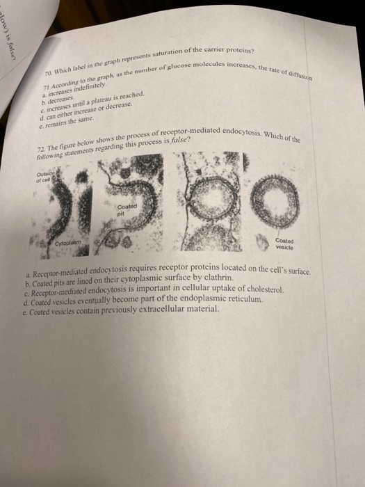 glow) is false of the carrier proteins? molecules in cases, the rate or cases, the rate of diffusion 20. Which label in the g