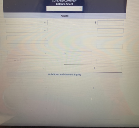 SUNLAND COMPANY Balance Sheet Assets Liabilities and Owners Equity