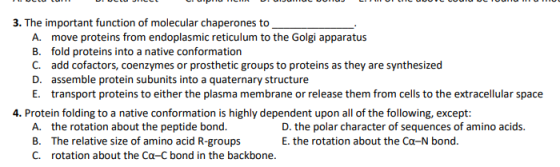 3. The important function of molecular chaperones to A. move proteins from endoplasmic reticulum to the Golgi apparatus B. fo