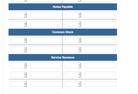 Notes Payable Common Stock 1 Service Revenue
