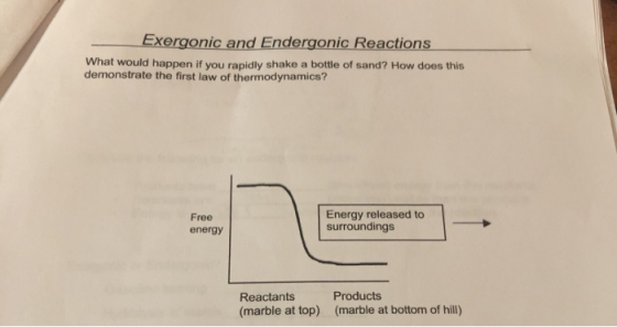 Exergonic and Endergonic Reactions What would happen if you rapidly shake a bottle of sand? How does this demonstrate the fir
