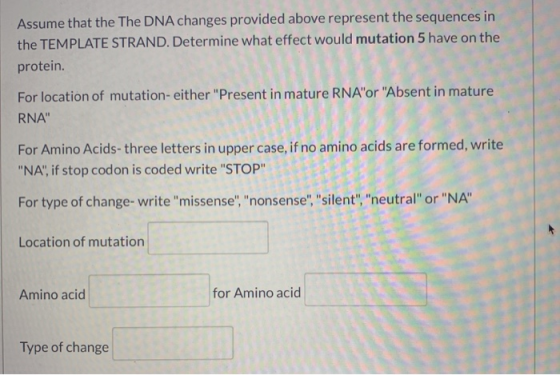 Assume that the The DNA changes provided above represent the sequences in the TEMPLATE STRAND. Determine what effect would mu