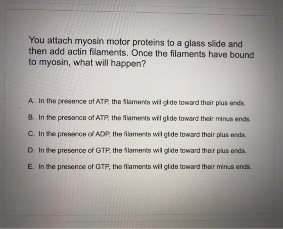 You attach myosin motor proteins to a glass slide and then add actin filaments. Once the filaments have bound to myosin, what