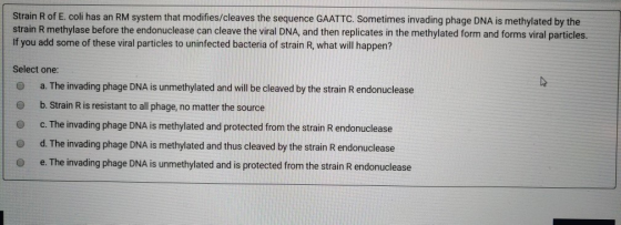 Strain R of E. coli has an RM system that modifies/cleaves the sequence GAATTC. Sometimes invading phage DNA is methylated by